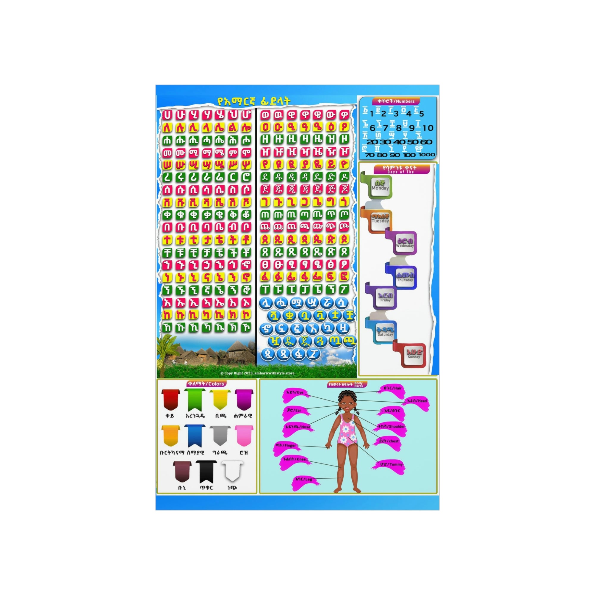 Amharic Alphabet, Numbers, Body Parts Premium Matte Posters