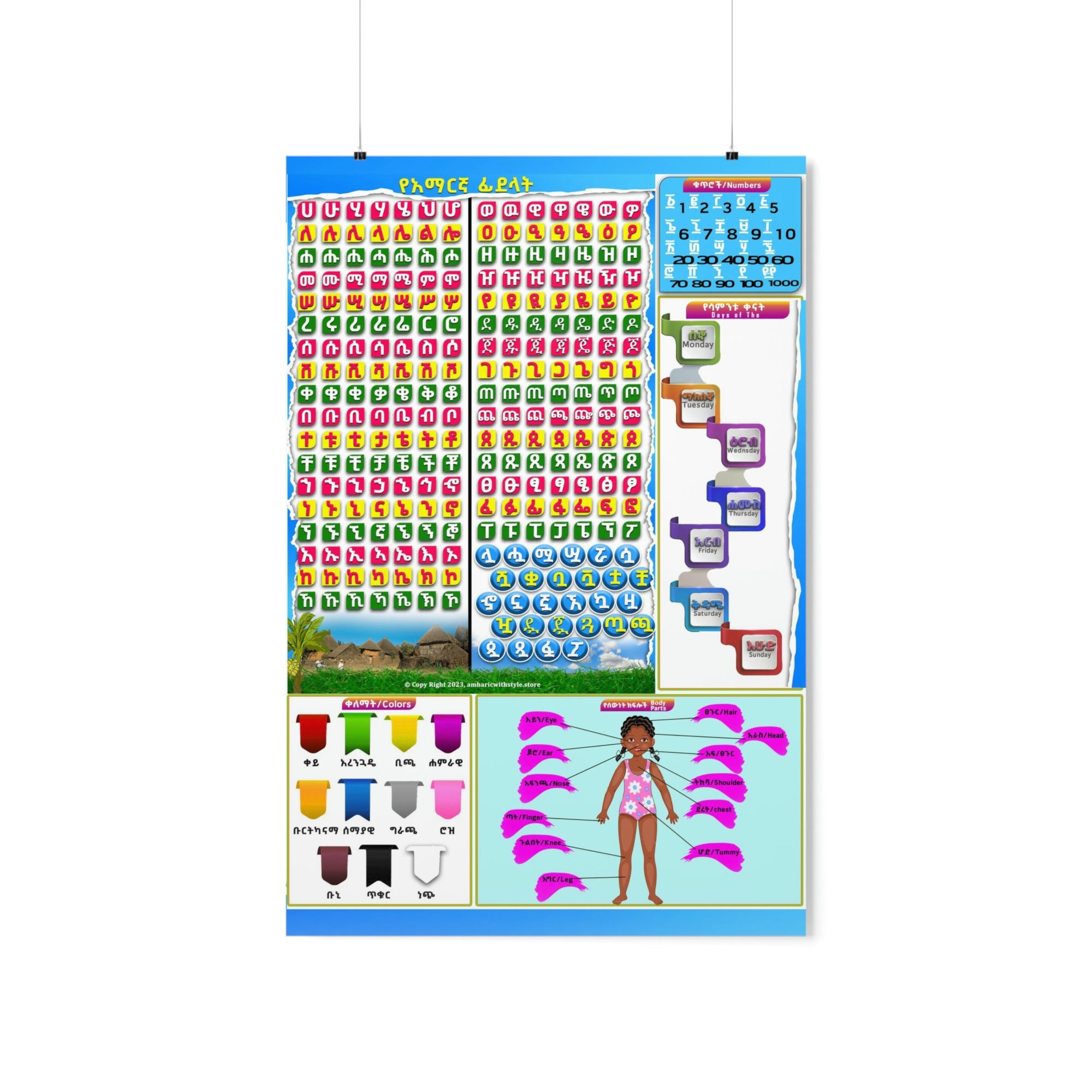 Amharic Alphabet, Numbers, Body Parts Premium Matte Posters